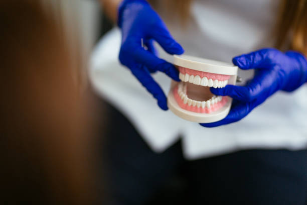 Professional  Holistic Dental Services in Valrico, FL