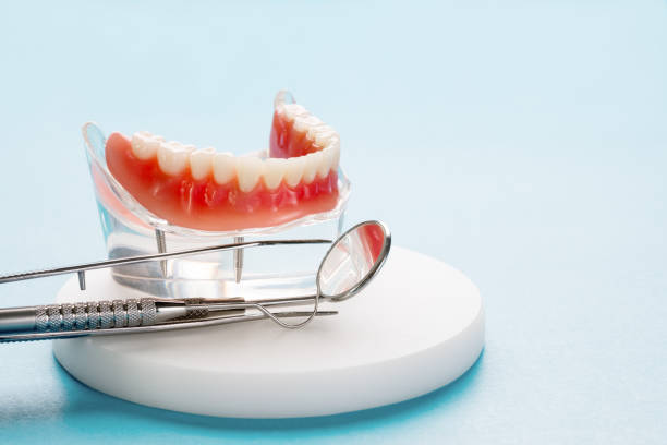 Best Dentures (Full and Partial)  in Valrico, FL